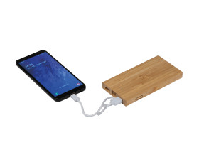 Bamboo power bank